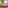 Thumbnail for NECTAR KIDS MATTRESS