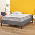 PREMIUM NECTAR PILLOW (PAIR)