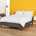 THE NECTAR DUVET